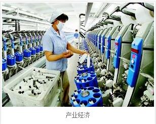 产业经济