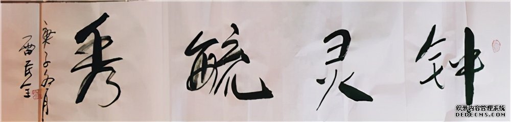 2021“迎新春”宣和·至臻书法家雷民全网络作品展